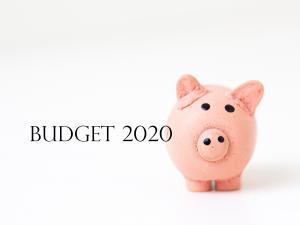 Budget 2020 Piggy_plain