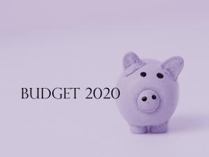 Budget 2020 Piggy_purple