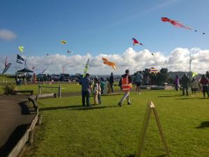 Matariki kite festival Mt Roskill 2015 [photo: Le Loi / Wikicommons]