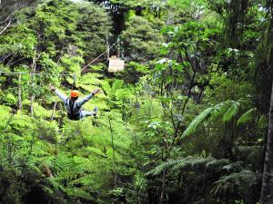 Zahra riding the Coromandel Zipline 