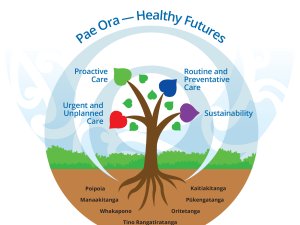Pae Ora - Healthy Futures