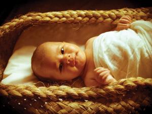  The flax wahakura for baby