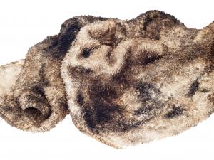 Oily rag_iStock