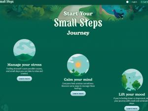 Small Steps
