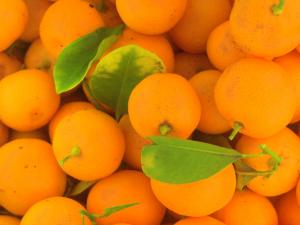 Group of oranges