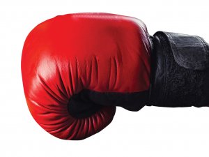 Boxing glove_arm