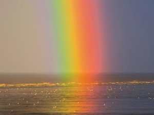 Rainbow2021_CR_Zoltan-Tasi_P2lk_0bBVm0_Unsplash.jpg