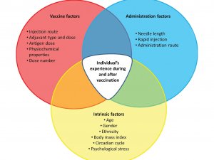Summary of vaccination and host factors that can influence reactogenicity. (Image:Hervé C, et al (NPJ Vaccines 2019;4:39), CC BY 4.0)