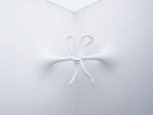 Knots Bruno Figueiredo
