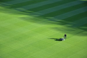 Mowing Field 