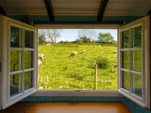 Open window CR Ian Taylor on Unsplash.jpg