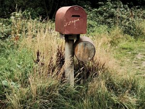 Weeds Letterbox [David Tip on Unsplash]