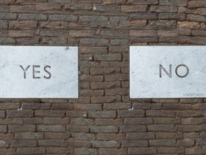 Yes No Signs CR Florian schmetz unsplash Edited.jpg