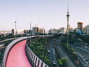 Auckland scene and cyclist_CR_Dan Freeman on Unsplash