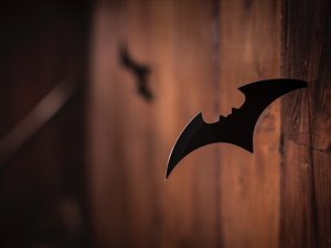 Bat
