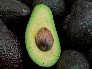 Avocado