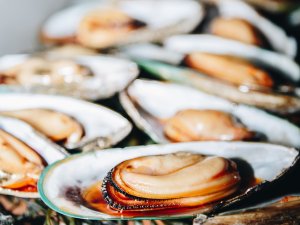 Mussels