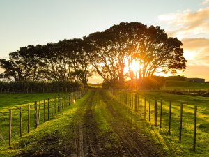 Taranaki rural CR Werner Sevenster on Unsplash