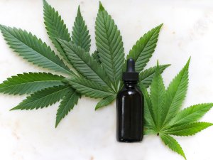 cannanis and oil CR kimzy nanney on Unsplash