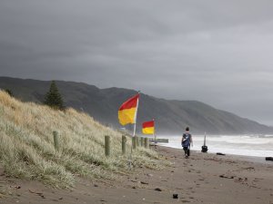 windy day kapiti coast
