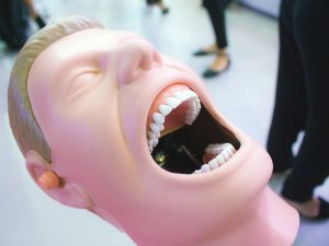 mouth model