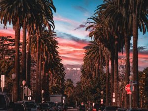 Hollywood sunset Jake Blucker on Unsplash