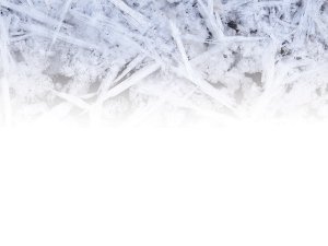 Page Top Icicles CR Mathias swede on iStock B