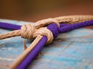 Ropes tied together CR Dan Dennis on unsplash