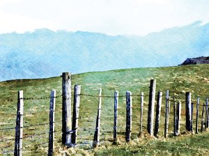 Rural Fence watercolour CR LazingBee on iStock