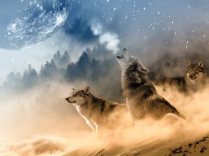 Wolves
