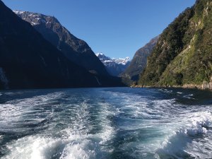 Boat trip, Milford Sound_CR_Mary Ford.jpg 