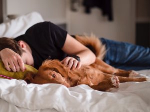 Sleep