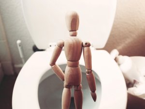 Mannequin toilet