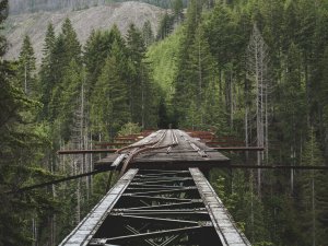 Bridge 