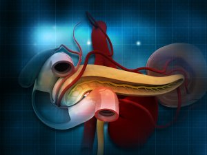 Pancreas [Rasi Bhadramani on istock.com]