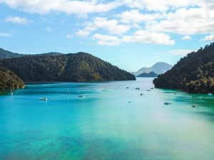 Marlborough Sounds CR Mark de Jong on Unsplash] 