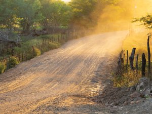 Road dust 