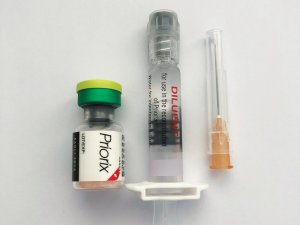 MMR vaccination 2023