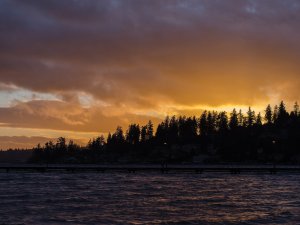 Sunset trees water CR Ryan Fishel on Unsplash