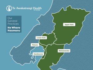 Te Awakairangi map annual report