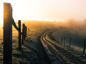 [Image: Subhasish Dutta on Unsplash]