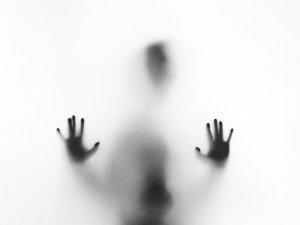 Invisible CR Stefano Pollio on Unsplash