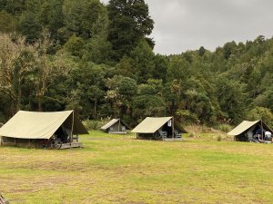 Camp Epic tents