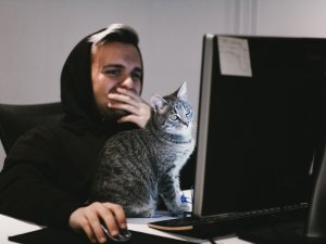 Man and cat looking at computer