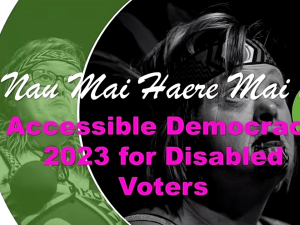 Accessible Democracy IHC Forum 2023 Zoom intro
