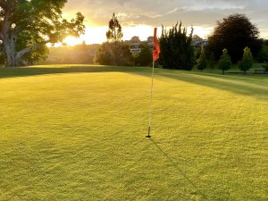 golfing