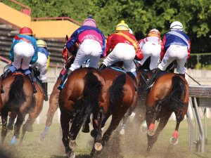 Horse Race 