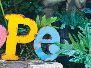 P E