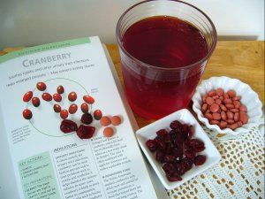 Cranberry