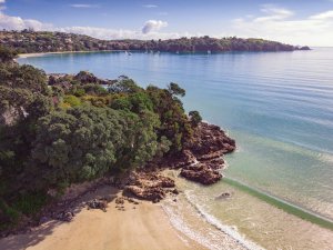Waiheke view CR Look up look down photography on Unsplash